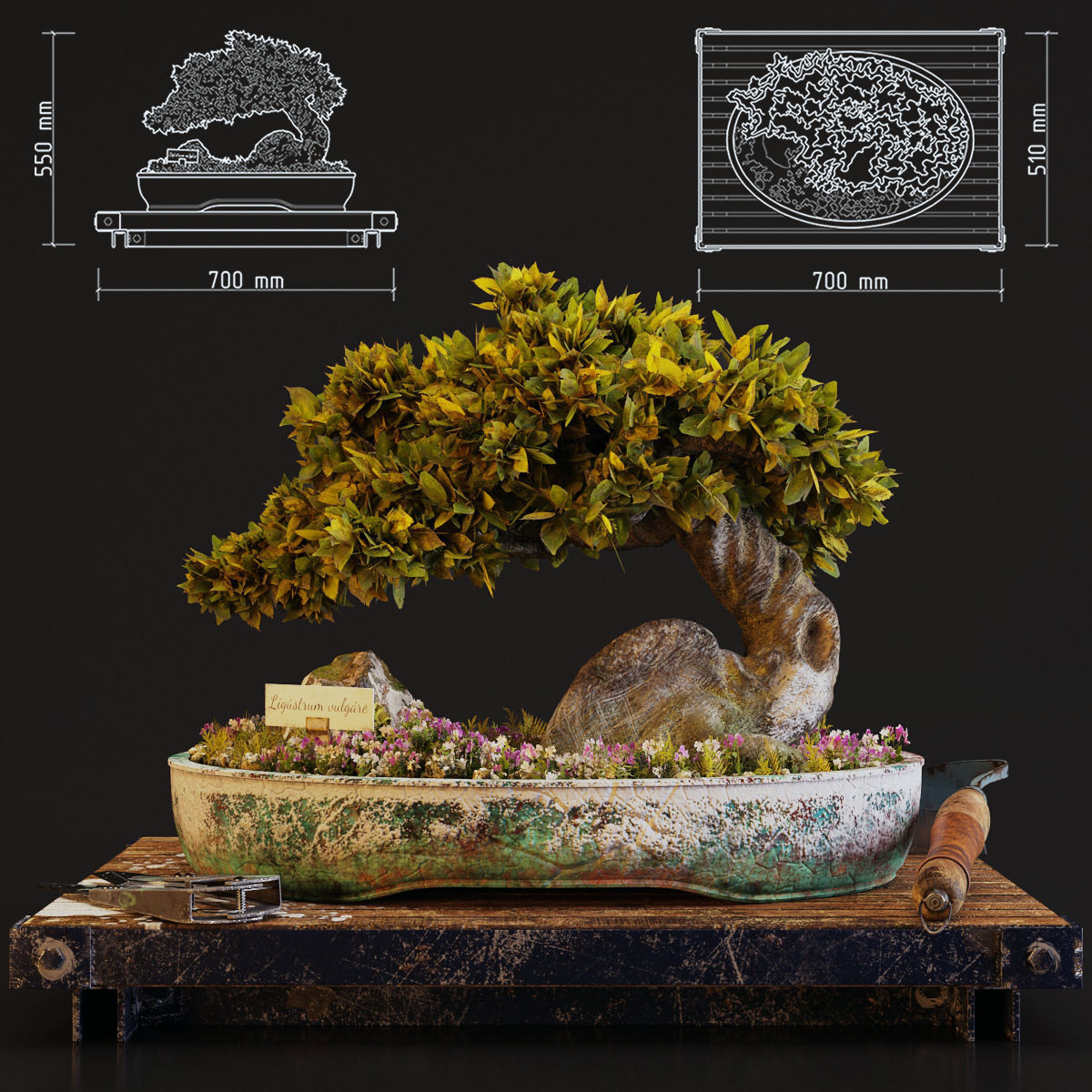 Bonsai