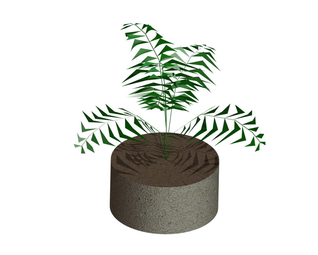 houseplant Free 3D model