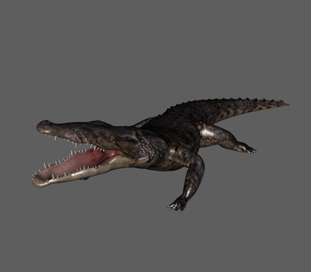 Croccodile 3D print model