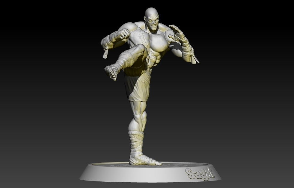Cadre 3D Street Fighter Sagat - Décor Mural Geek / Gaming - Neuf