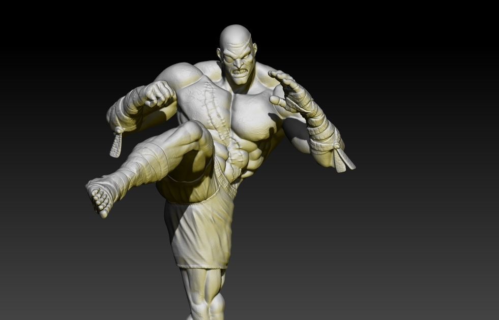Cadre 3D Street Fighter - Sagat - Nouveau Sans Emballage
