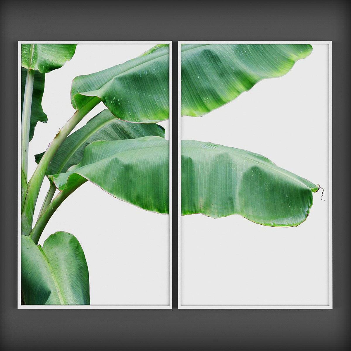 Picture Frames