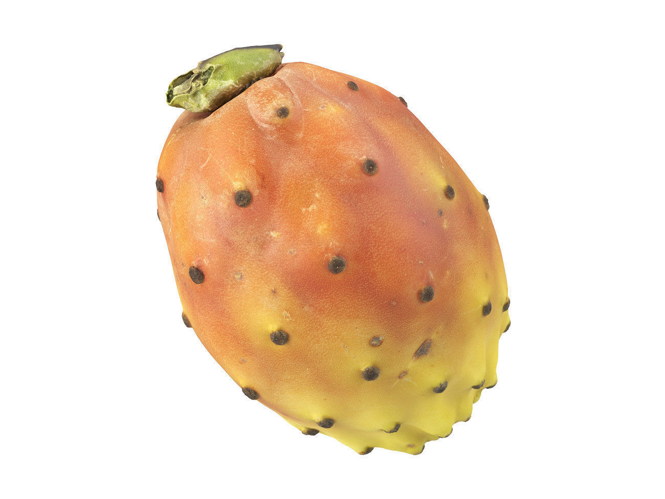 Photorealistic Prickly Pear 3D Scan 3D model