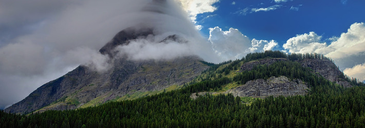 REAL or FAKE Quiz. These Magical Environment Images Will Make Your Head Spin