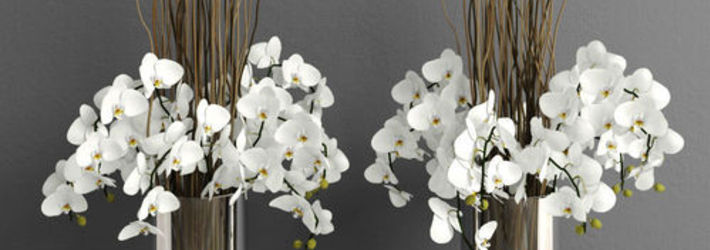 3D CG Flora and Fauna Challenge Winners Announced!